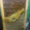 натуральный мёд от пчеловода в Москве 6